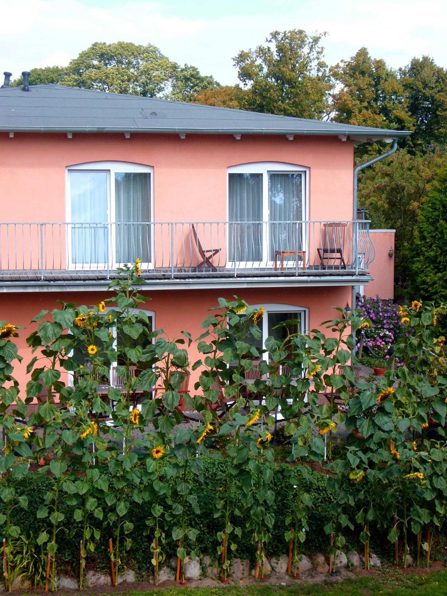 Pension Waldeck Goehren  Exteriér fotografie